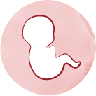 illustration schwangerschaft, baby